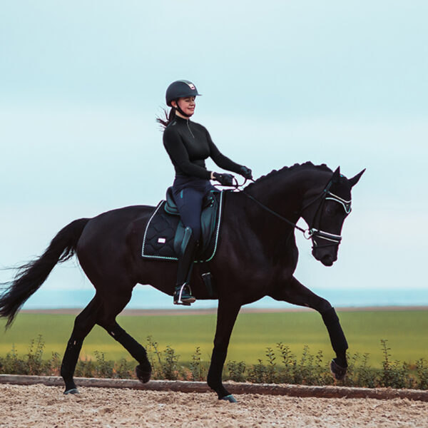 Equestrian Stockholm koolisõiduvaltrap BLACK EDITION - Image 3