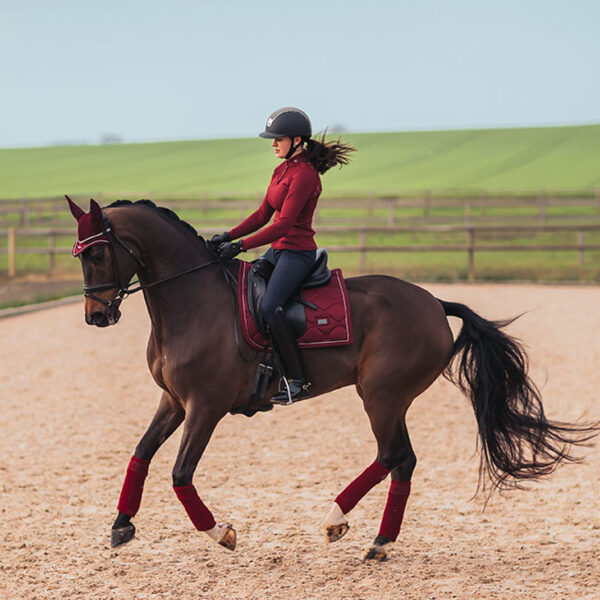 Equestrian Stockholm koolisõiduvaltrap BORDEAUX - Image 3