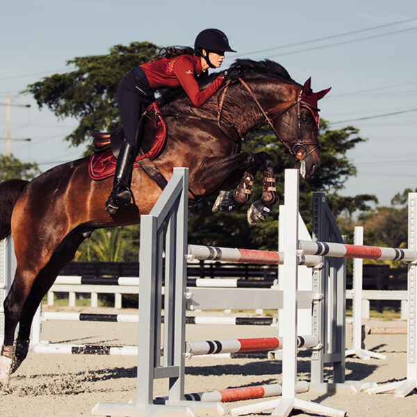 Equestrian Stockholm takistussõiduvaltrap BORDEAUX - Image 4