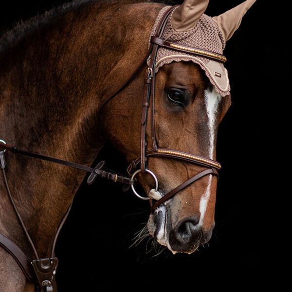 Equestrian Stockholm kõrvad CHAMPAGNE - Image 3