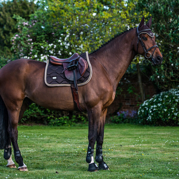 Equestrian Stockholm kõrvad GOLDEN BROWN - Image 3
