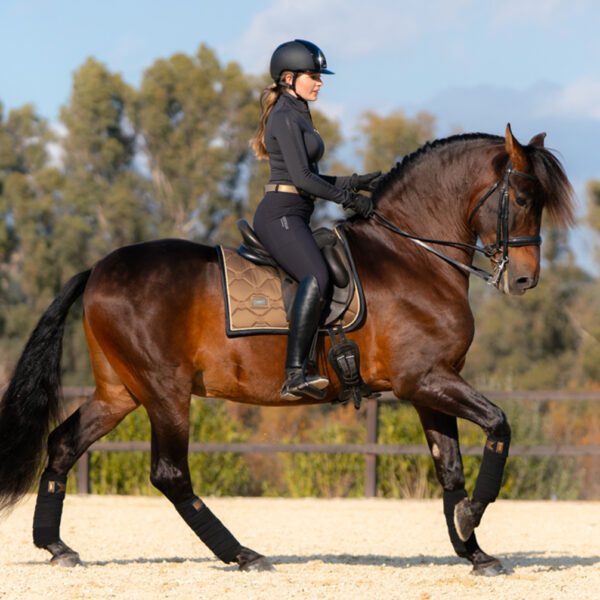 Equestrian Stockholm koolisõiduvaltrap GOLDEN BRASS - Image 3