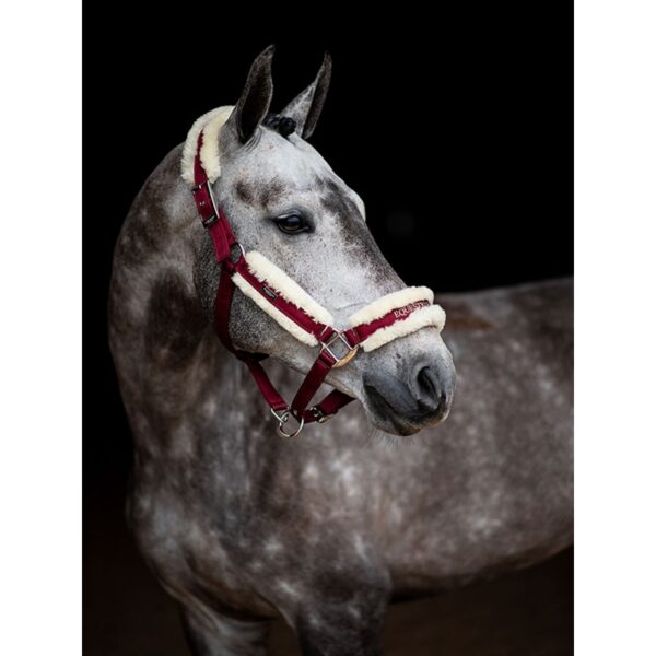 Equestrian Stockholm päitsed + nöör BORDEAUX - Image 3