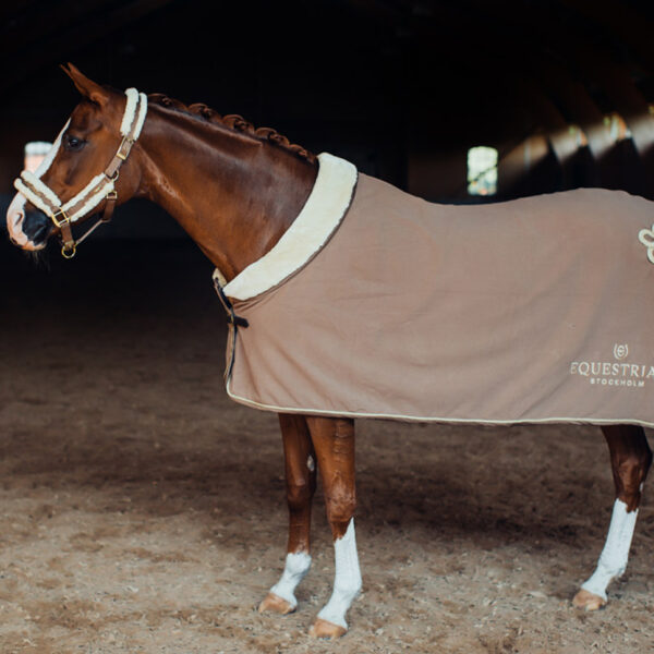 Equestrian Stockholm päitsed + nöör CHAMPAGNE - Image 3