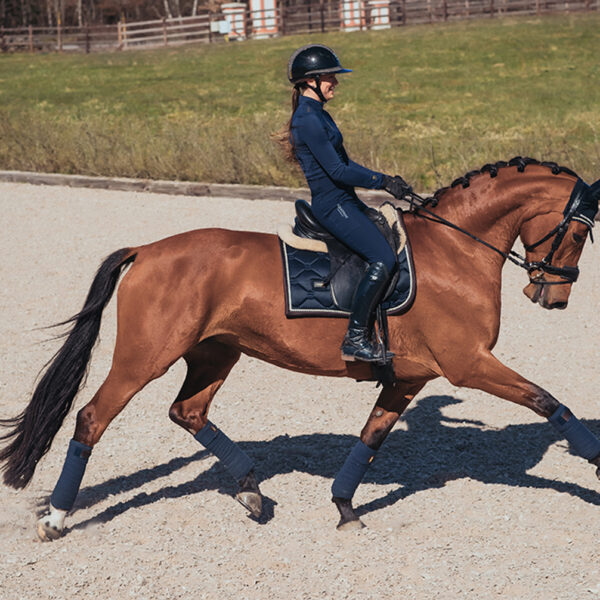 Equestrian Stockholm koolisõiduvaltrap ROYAL CLASSIC - Image 3