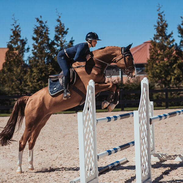 Equestrian Stockholm takistussõiduvaltrap ROYAL CLASSIC - Image 3