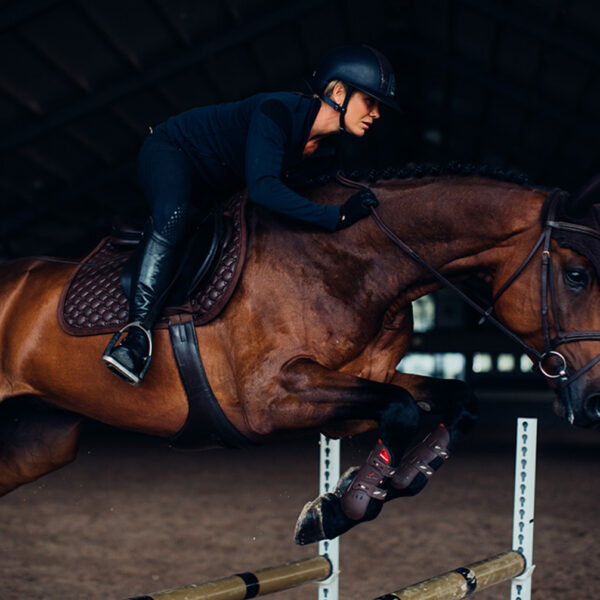 Equestrian stockholm mürasummutavad kõrvad CHOCOLATE - Image 3
