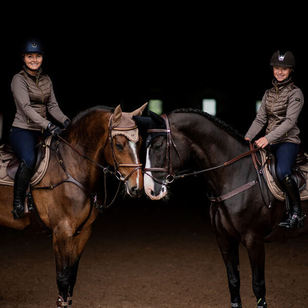 Equestrian Stockholm takistussõiduvaltrap CHAMPAGNE - Image 4