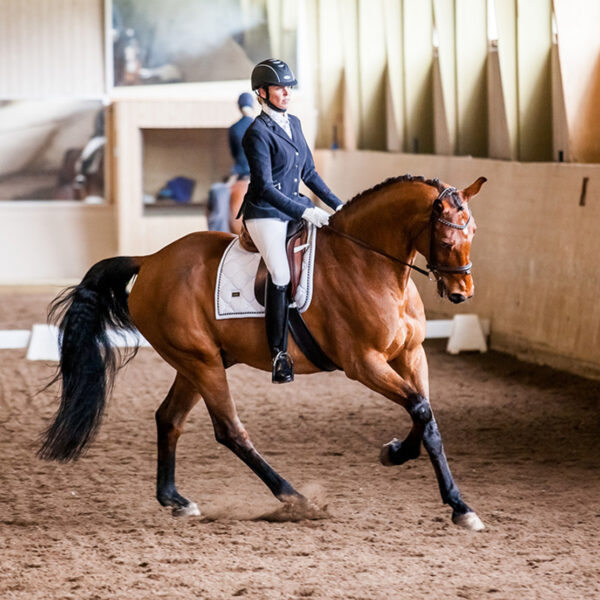 Equestrian Stockholm koolisõiduvaltrap WHITE PERFECTION - Image 3