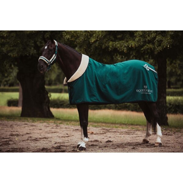 Equestrian Stockholm päitsed + nöör EMERALD - Image 3