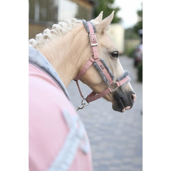 Equestrian Stockholm päitsed + nöör PINK - Image 3