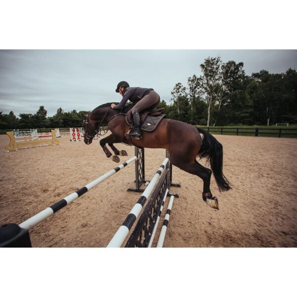 Equestrian Stockholm takistussõiduvaltrap DARK SKY - Image 3