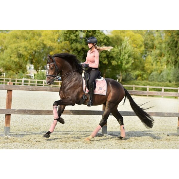 Equestrian Stockholm koolisõiduvaltrap PINK PEARL - Image 3