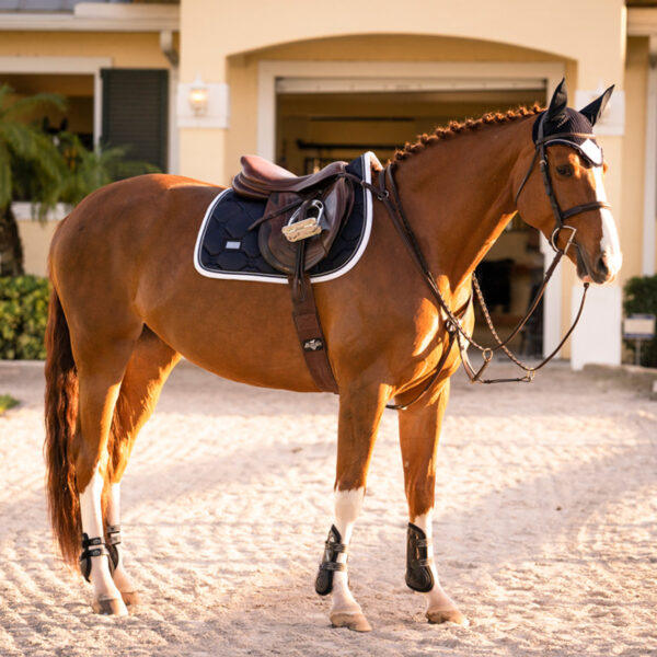 Equestrian Stockholm takistussõiduvaltrap MIDNIGHT WHITE EDGE - Image 3