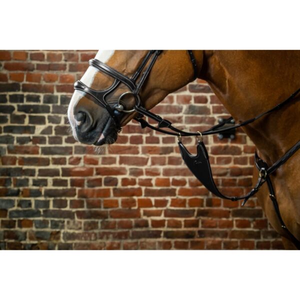 Dyon martingalikahvel HARD BIB (New English) - Image 4