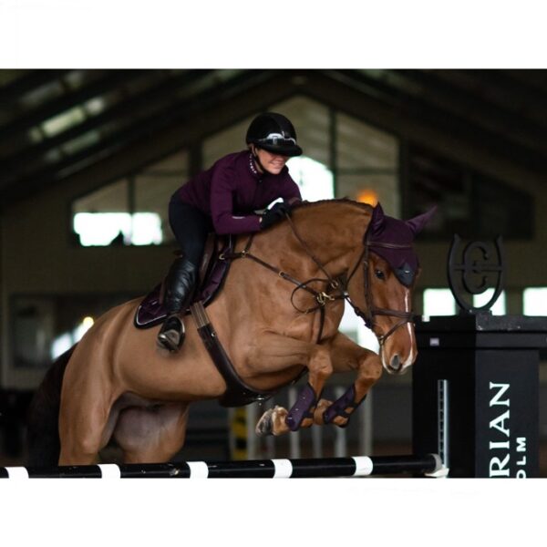 Equestrian Stockholm takistussõiduvaltrap BLACK RAVEN - Image 3