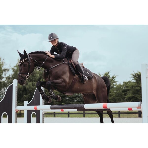 Equestrian Stockholm takistussõiduvaltrap BLACK GOLD - Image 3