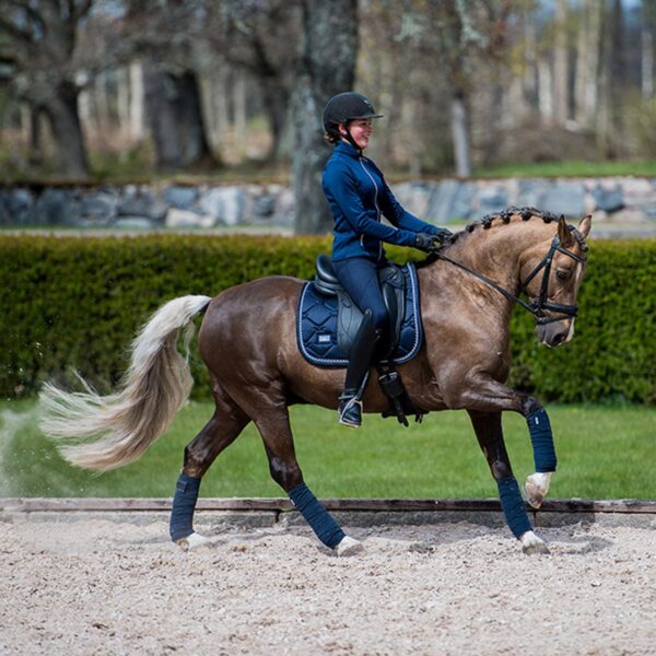 Equestrian Stockholm koolisõiduvaltrap MIDNIGHT BLUE - Image 3