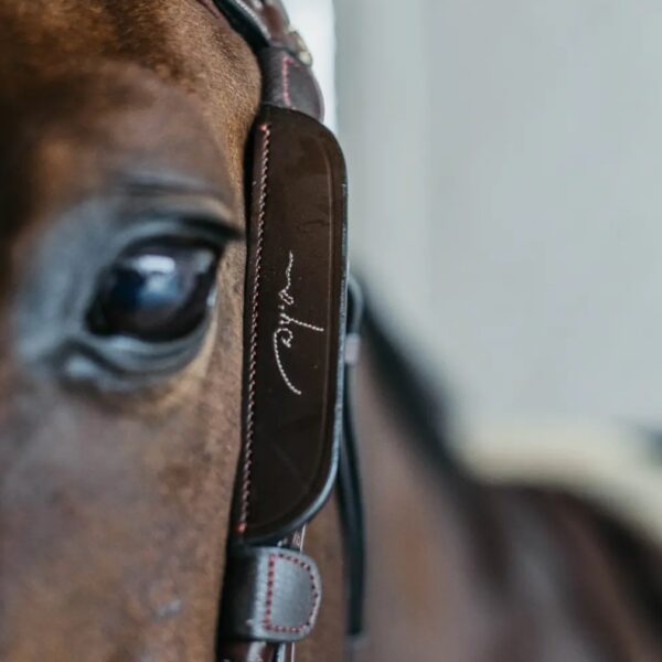 Dyon blinkerid FANCY - Image 4