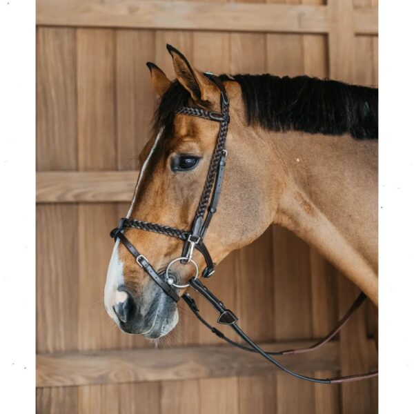 Dyon ristkapsliga valjad PLAITED TRAINING BRIDLE (Working by Dy’on) - Image 3