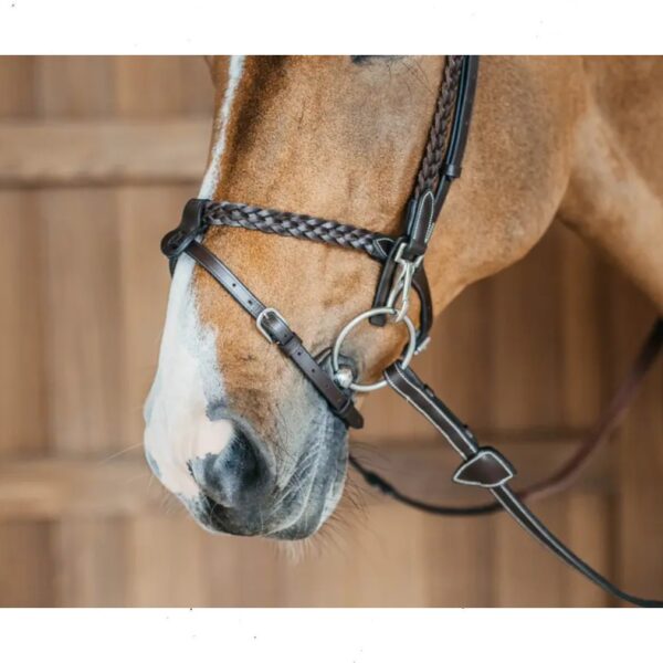 Dyon ristkapsliga valjad PLAITED TRAINING BRIDLE (Working by Dy’on) - Image 4