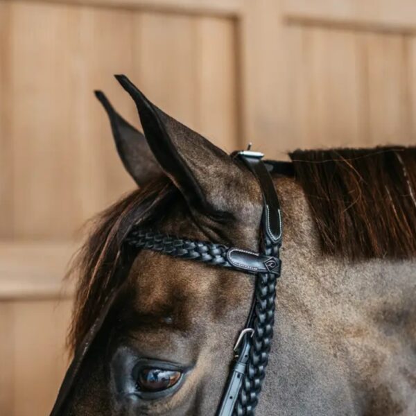 Dyon ristkapsliga valjad PLAITED TRAINING BRIDLE (Working by Dy’on) - Image 5