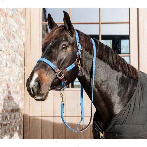 Kentucky päitsed PLAITED NYLON HALTER - Image 7