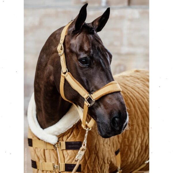Kentucky päitsed VELVET HALTER - Image 3
