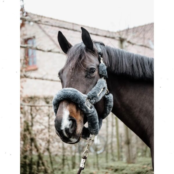 Kentucky pehmendustega päitsed SHEEPSKIN SHIPPING HALTER - Image 4