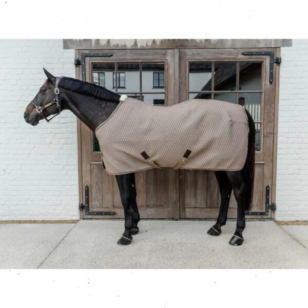 Kentucky cooler 4D SPACER COOLER SHEET - Image 4