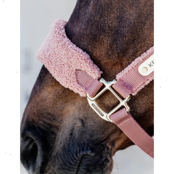 Kentucky päitsed TEDDY FLEECE HALTER - Image 3