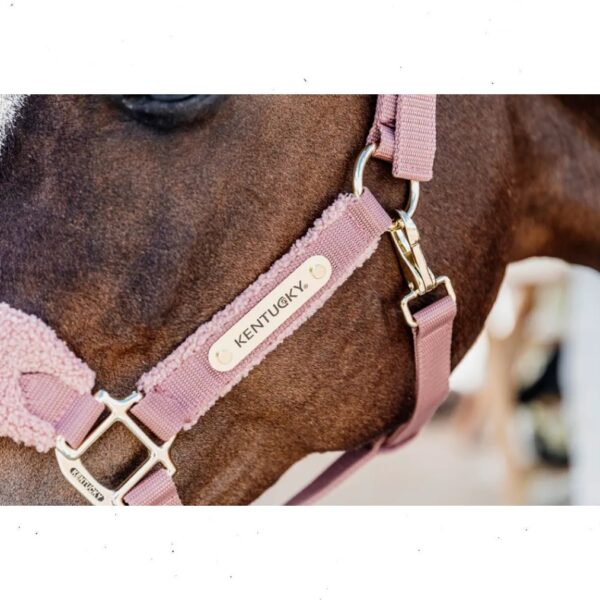 Kentucky päitsed TEDDY FLEECE HALTER - Image 4