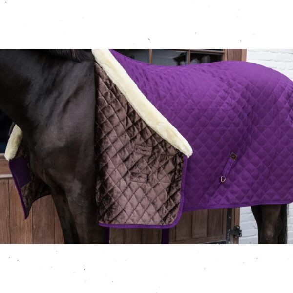 Kentucky SHOW RUG - Image 5