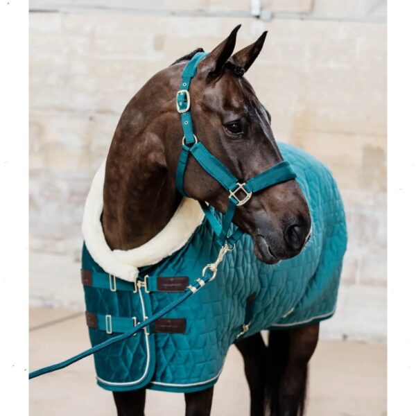 Kentucky päitsed VELVET HALTER - Image 4