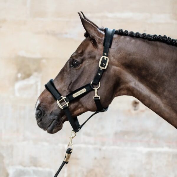 Kentucky päitsed VELVET HALTER - Image 5