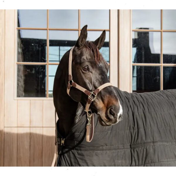Kentucky päitsed PLAITED NYLON HALTER - Image 6