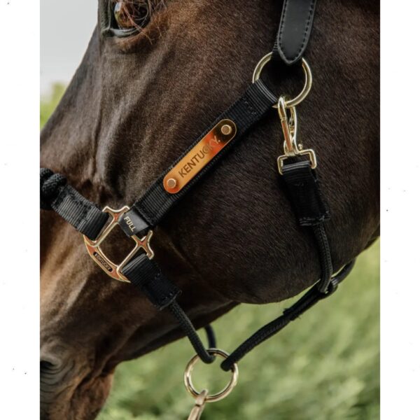 Kentucky päitsed CONTROL HALTER - Image 3