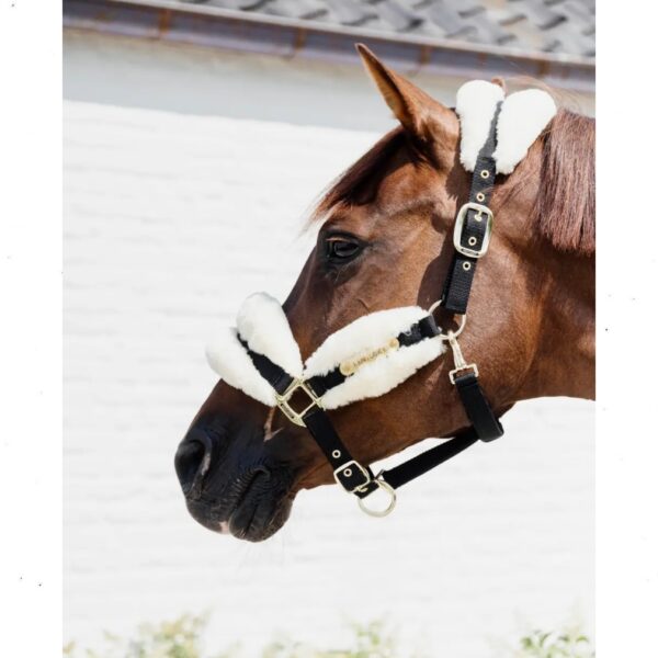 Kentucky pehmendustega päitsed NYLON SHEEPSKIN HALTER SOFT - Image 3