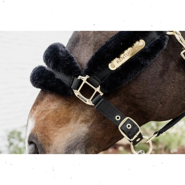 Kentucky pehmendustega päitsed NYLON SHEEPSKIN HALTER SOFT - Image 4