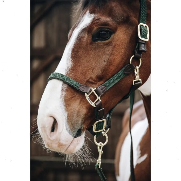 Kentucky päitsed PLAITED NYLON HALTER - Image 5