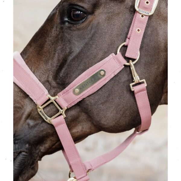 Kentucky päitsed VELVET HALTER - Image 7