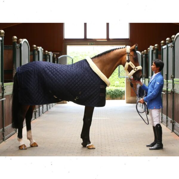 Kentucky SHOW RUG - Image 3