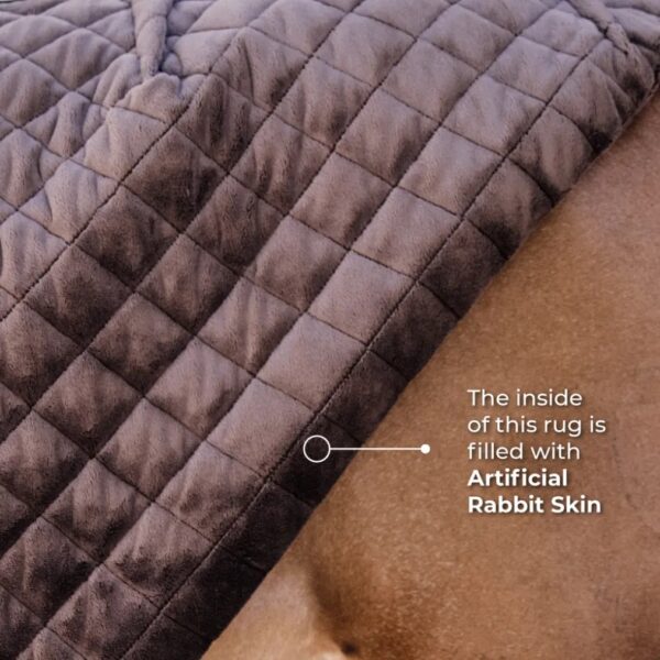 Kentucky SHOW RUG - Image 3