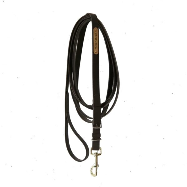 Kentucky jalutusnöör STALLION LEAD - Image 3