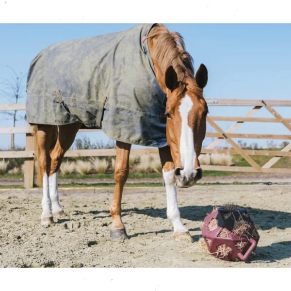 Kentucky pall RELAX HORSE PLAY & HAY BALL - Image 5