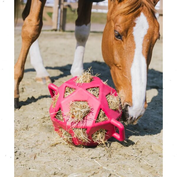 Kentucky pall RELAX HORSE PLAY & HAY BALL - Image 3