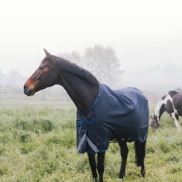 Kentucky õuetekk COMFORT 300g (1200D) - Image 1