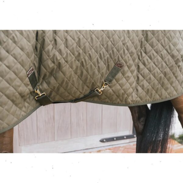 Kentucky SHOW RUG - Image 3