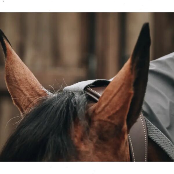 Kentucky vihmatekk HORSE RAINCOAT HURRICANE - Image 4