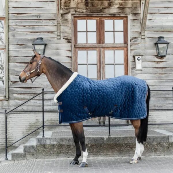 Kentucky SHOW RUG VELVET - Image 4